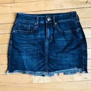 Express Denim Skirt